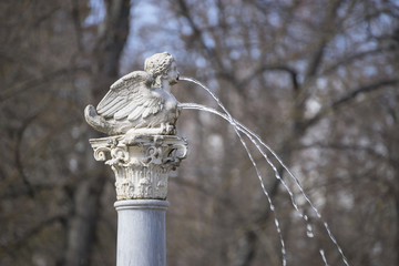 Royal gardens of the palace of aranjuez in madrid, spain
