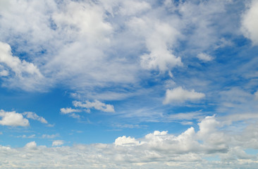 Fototapeta premium light cumulus clouds in the blue sky
