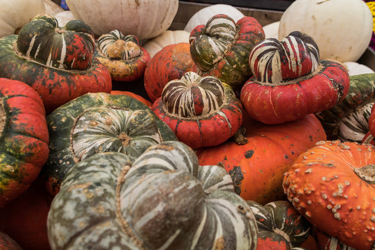 Fancy Pumpkins
