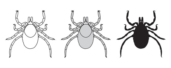 ICÔNE TIQUE FEMELLE
