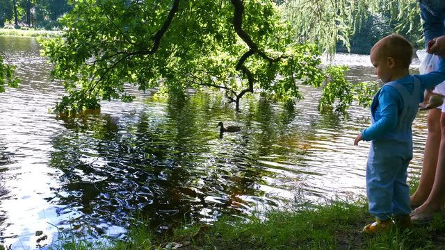 Mother and her baby boy are feeding ducks in a park lake