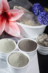 Ancient minerals - luxury face and body spa treatment, clay powder mask