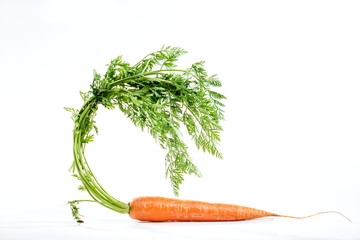 young fresh juicy carrot