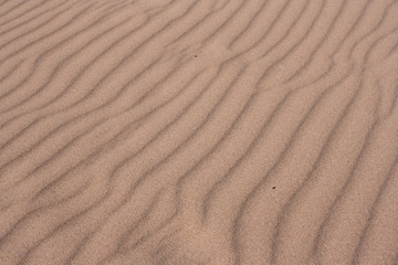 Sandy background.