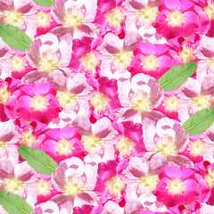Beautiful floral background with dogrose 