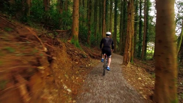 Man riding bicycle on forest path 4k