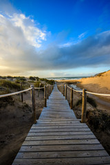 Obraz premium Drewniana ścieżka do plaży na wydmach. Plaża Guincho w Cascais, Portugalia