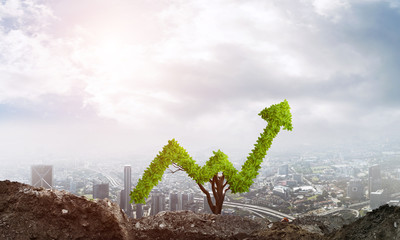 Right investment for getting income
