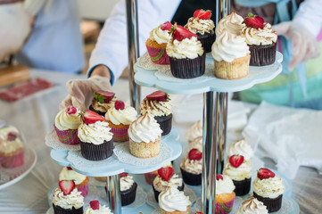 Close up Various gourmet cupcakes on display tray. Selective focus