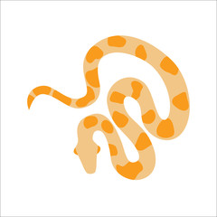 Snake python cartoon vector.