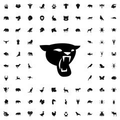 panther icon illustration © HN Works