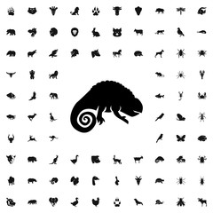 chameleon icon illustration