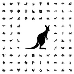 kangaroo icon illustration