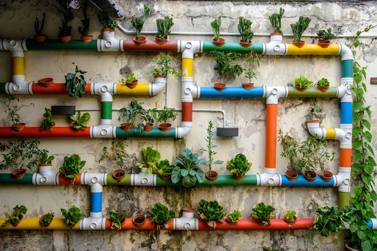 Urban Gardening - colorful pipes filled with vegetables 