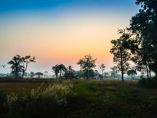 Obraz premium Farmhouse in the rice field with Sunrise In The Morning and blue sky background After Harvested