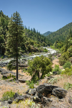 Scott River, CA, USA