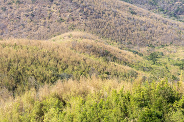 Scenic peaks in summer.