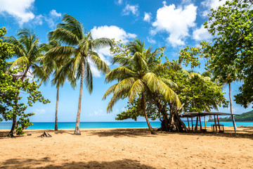 Beach of La grande Anse, Guadeloupe