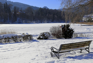 Winterlandschaft: Am verschneiten Ufer des Schliersees 