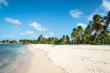 beachfront of Anse-Bertrand, Guadeloupe