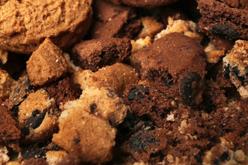 Crumbs of cookie with chocolate chips, closeup