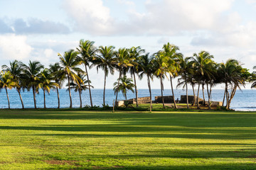 green soccer pitch surrounded by palm trees and ancient Fort of