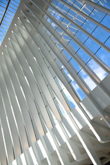 Naklejka premium Oculus