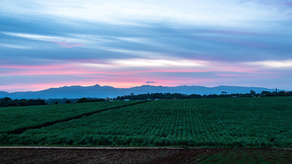 Obraz premium Guadeloupe at sunset