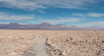 Chaxa Lagoon in Atacama Desert, Chile.