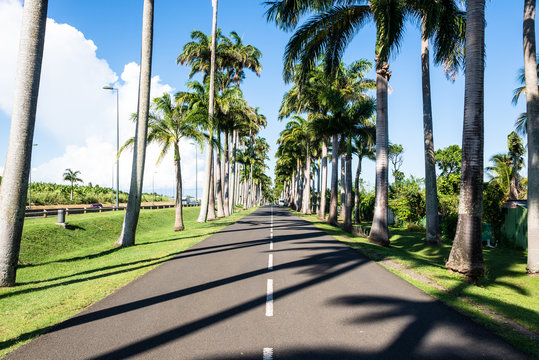 Alley Dumanoir, Guadeloupe