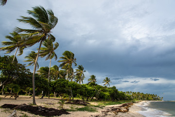 beach of Capesterre de Marie-Galante