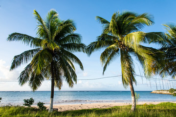 Fototapeta na wymiar tropical beach with turquoise water on Marie-Galante