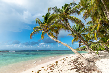 tropical beach with turquoise water on Marie-Galante