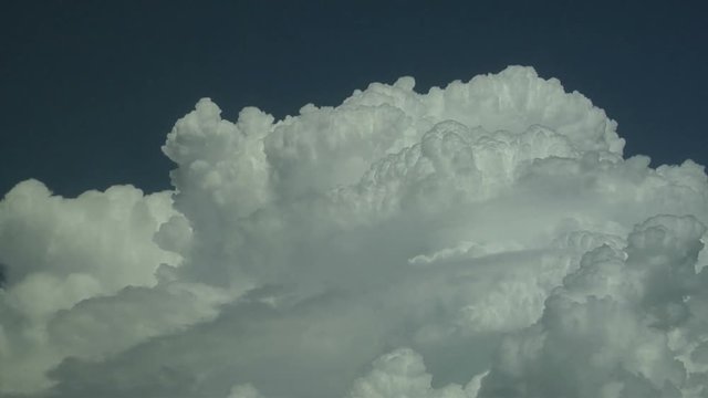 Boiling Cumulus Updrafts with Pileus Veil Cloud