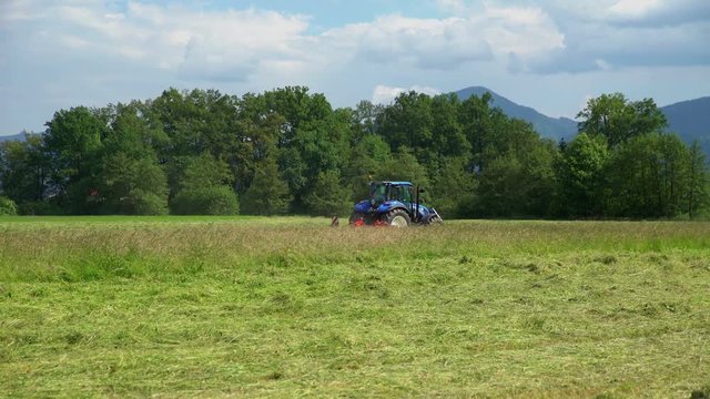A big blue tractor is driving away from the fields. The day is hot and it is summer time. The farmer has cut the grass.
