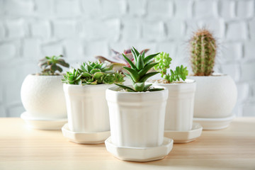 Pots with succulents on table against brick wall background