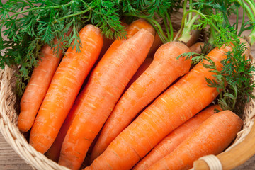 fresh carrots bunch on rustic old basket