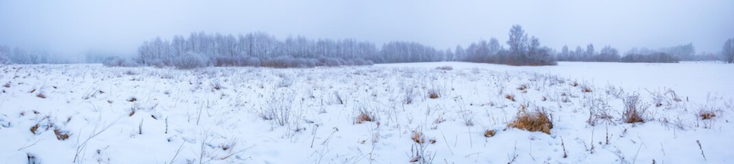 Winter foggy landscape in polish countryside