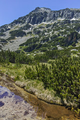 Fototapeta na wymiar Dzhangal peak and Banski lakes, Pirin Mountain, Bulgaria