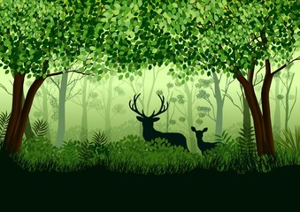 Green forest with wild elk in forest