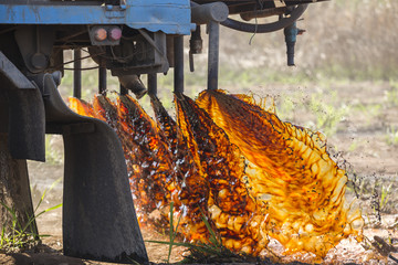 Truck pouring molasses in the sugar plantation as fertilizer