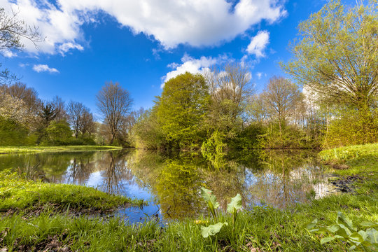 Springtime in ecological park