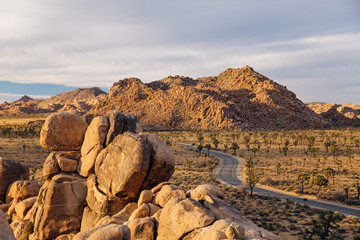 Obraz premium Sunset light illuminates the granite rock piles in the California desert. Joshua Trees and a winding road are also in the shot