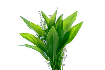 Fototapeta na wymiar The branch of lilies of the valley flowers isolated on white bac