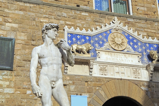 Michelangelo's David in Florence, Italy