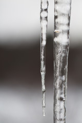 Naklejka na ściany i meble Winter icicles close-up abstract near black & white #3