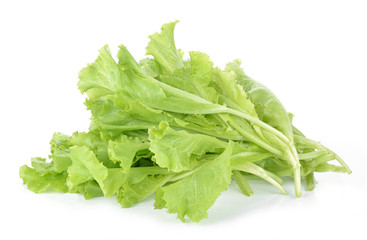 fresh green lettuce leaves isolated on white