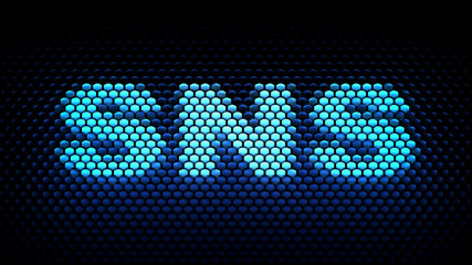 SNS (Social networking service)