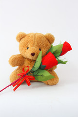 Brown teddy bears and red roses on a white background.