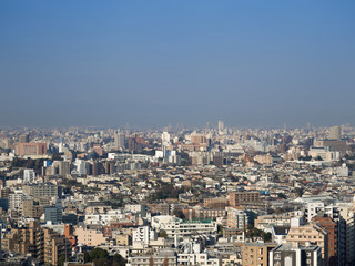 Fototapeta na wymiar 展望台から見た東京の街並み